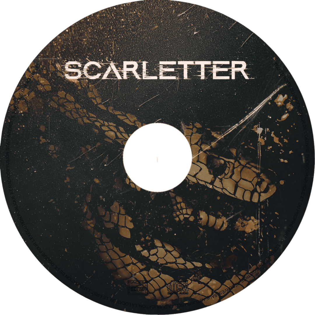 The mist over the mountains